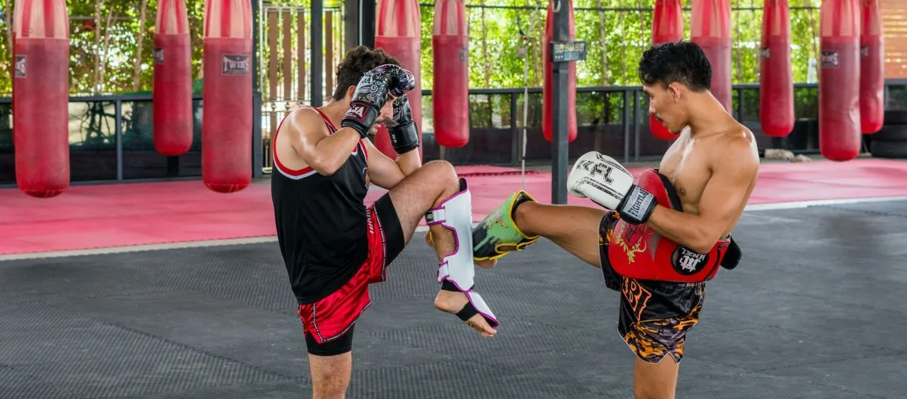 What Actually Happens in Your Very First Training Session?